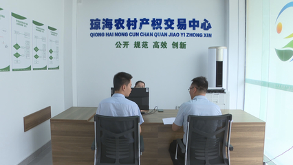 瓊海市農村產權交易服務中心揭牌成立，控股公司助力鄉村振興